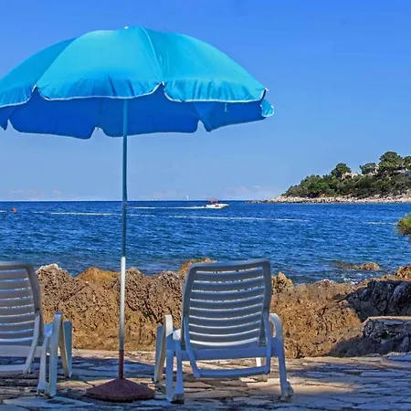 Studio In - Istrien 44044 Apartment Porec